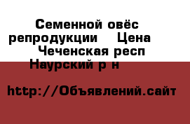 Семенной овёс 1 репродукции  › Цена ­ 13 - Чеченская респ., Наурский р-н  »    